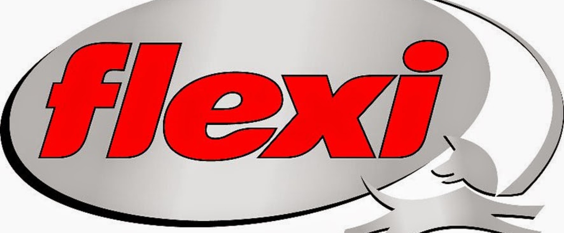 Flexi Αξεσουάρ Βόλτας Σκύλου