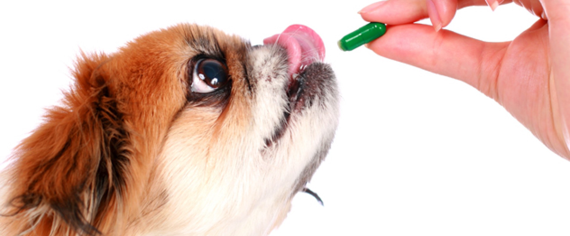 ΑΣΒΕΣΤΙΟ-ΓΛΥΚΟΖΑΜΙΝΗ-ΧΟΝΔΡΟΙΤΙΝΗ