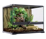 TERRARIUM