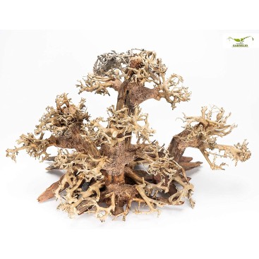 ΔΙΑΚΟΣΜΗΤΙΚΟ ΕΝΥΔΡΕΙΟΥ FOREST BONSAI SMALL 30X26X20