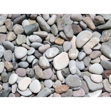 ΒΟΤΣΑΛΟ ΠΟΤΑΜΙΣΙΟ 8-13CM/τμχ