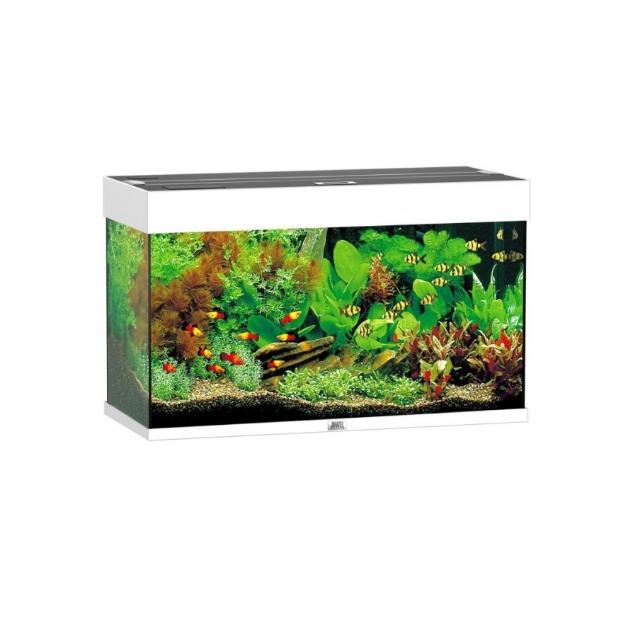 ΕΝΥΔΡΕΙΟ RIO 125 LED ΛΕΥΚΟ JUWELL