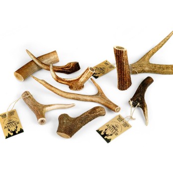 CELEBRATE ΚΕΡΑΤΟ RED DEER ANTLER OLIVE OIL XXL 200GR PLUS *προς Κ*