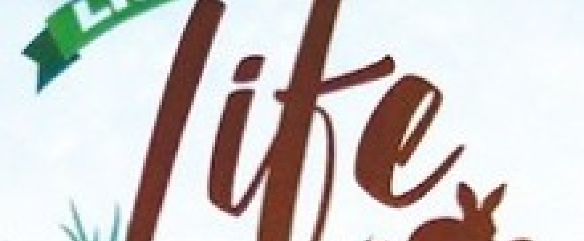 Χόρτα Για Κουνέλια - Τρωκτικά: Little's Life