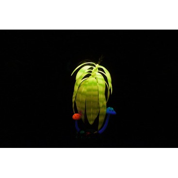 AQUA LUMO YELLOW STRIPE PLANT SMALL