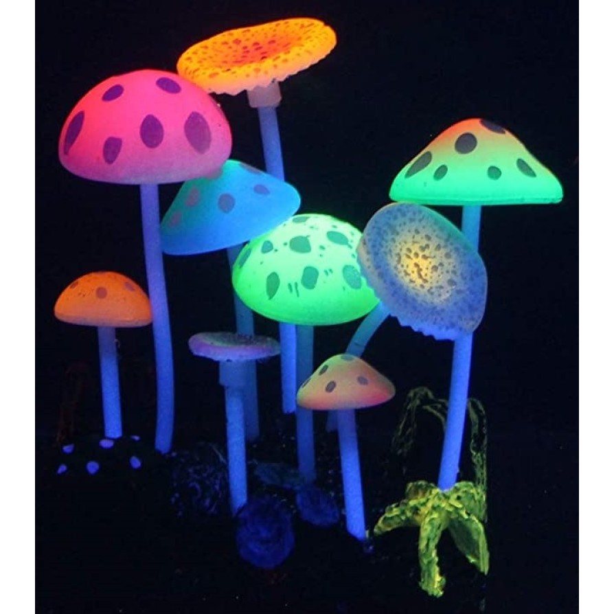 AQUA LUMO MULTI COLOURED MUSHROOM PLANT 