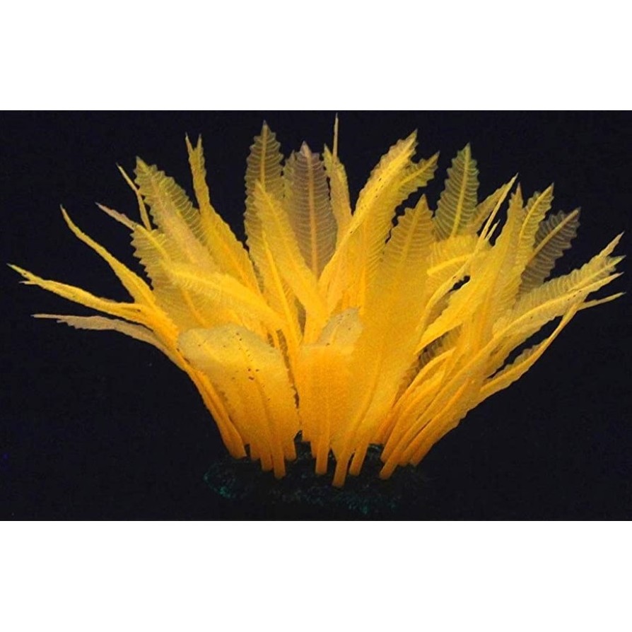 AQUA LUMO ORANGE FERN PLANT 