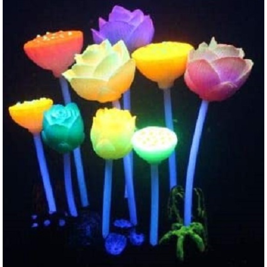 AQUA LUMO MULTI COLOURED LOTUS FLOWER 