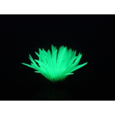AQUA LUMO GREEN FERM PLANT
