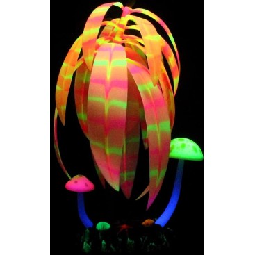 AQUA LUMO ROSE STRIPE PLANT