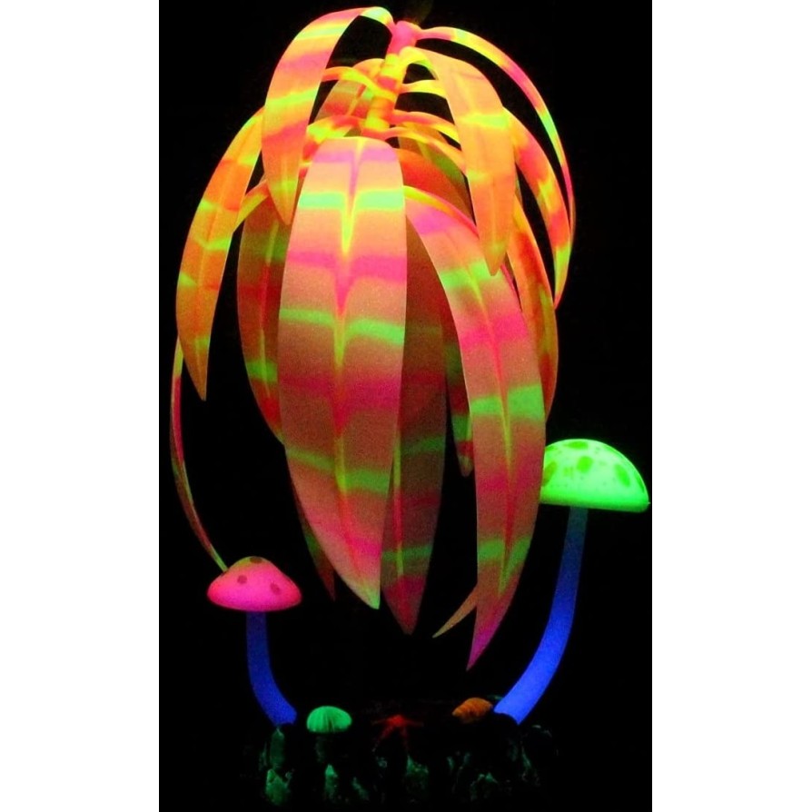 AQUA LUMO ROSE STRIPE PLANT 