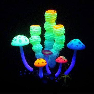 AQUA LUMO CORAL SPONGE FLOWER