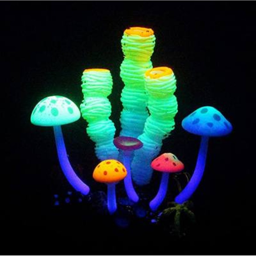 AQUA LUMO CORAL SPONGE FLOWER 