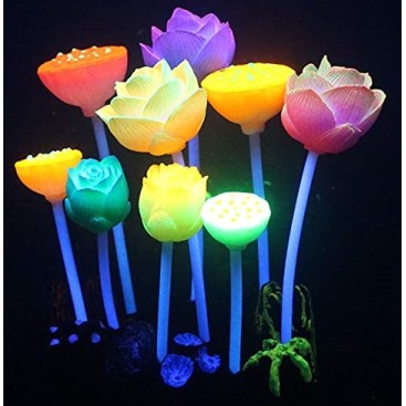 AQUA LUMO MULTI COLOURED LOTUS PLANT