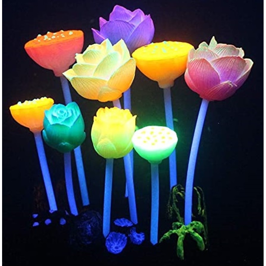 AQUA LUMO MULTI COLOURED LOTUS PLANT 