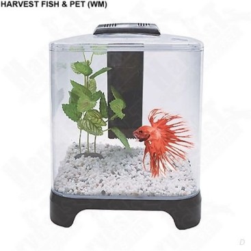 DOPHIN BETTA TANK 5,2LT