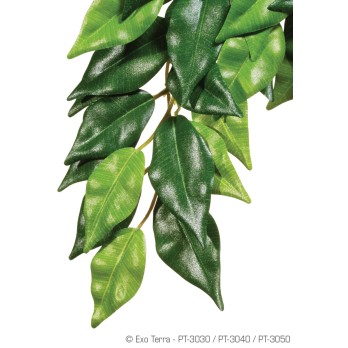 EXO TERRA ΦΥΤΑ ΥΦΑΣΜΑΤΙΝΑ FICUS MEDIUM