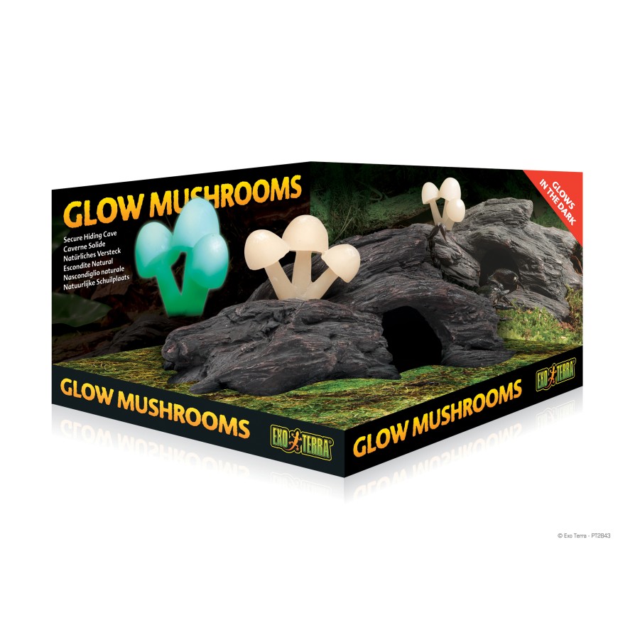 EX GLOW MUSHROOMS NATURAL HIDE OUT EXO TERRA