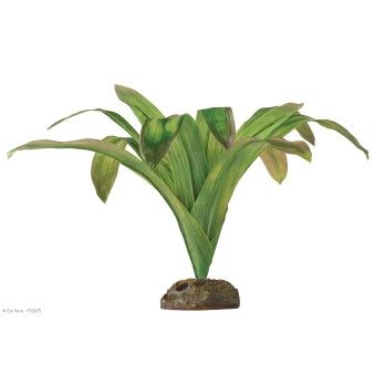 EXO TERRA Dec. Plants,Alcantarea