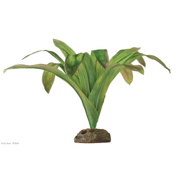 EXO TERRA Dec. Plants,Alcantarea