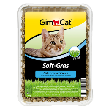 GIMCAT GRASS ΜΑΛΑΚΟ ΓΡΑΣΙΔΙ 100gr