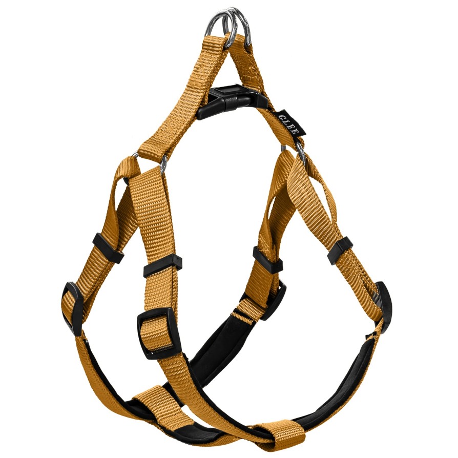 Glee Σαμαράκι Neoprene Ochre XS 10mmx25cm-36cm GLEE