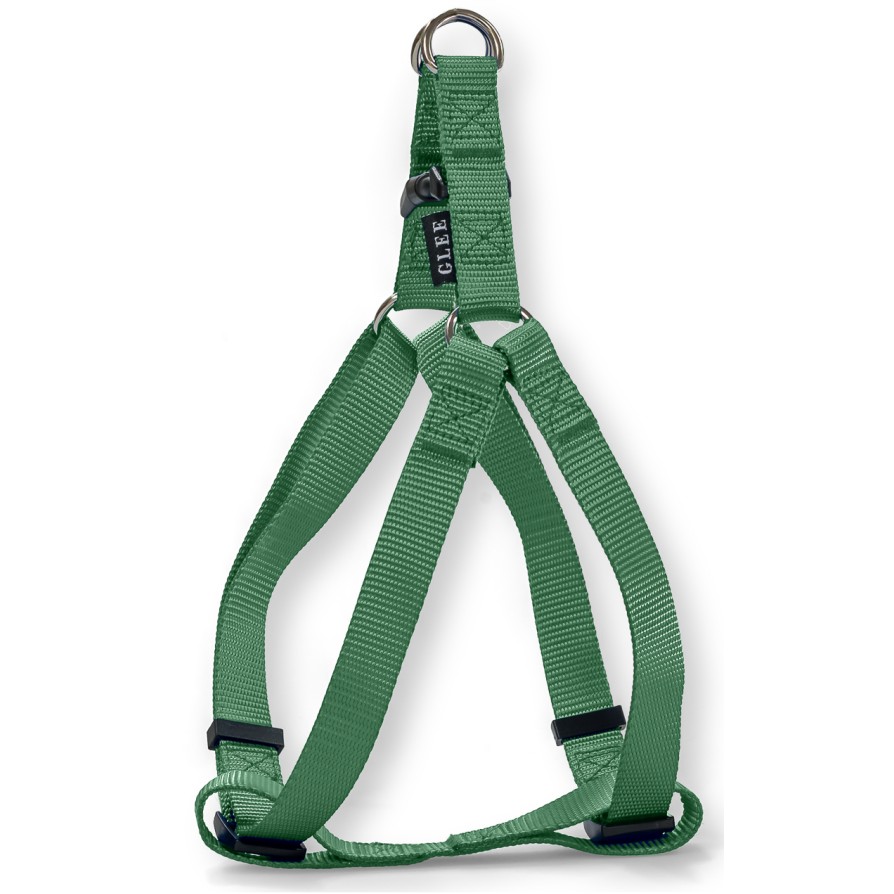 Glee Σαμαράκι Teal L 25mmx71-81cm GLEE