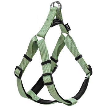 Glee Σαμαράκι Neoprene Teal L 25mmx71-81cm