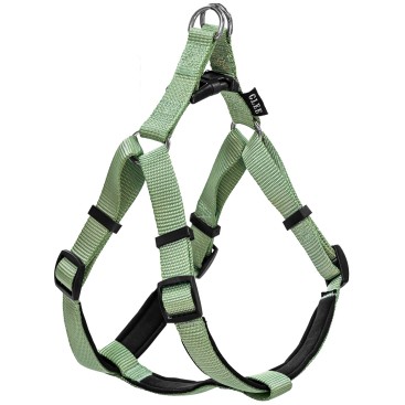 Glee Σαμαράκι Neoprene Teal M 20mmx56-66cm