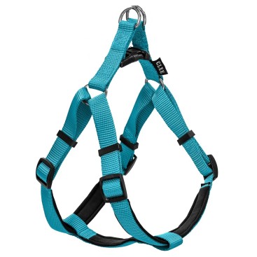Glee Σαμαράκι Neoprene Petrol S 16mmx41-51cm *προς Κ*