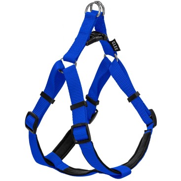 Glee Σαμαράκι Neoprene Blue S 16mmx41-51cm