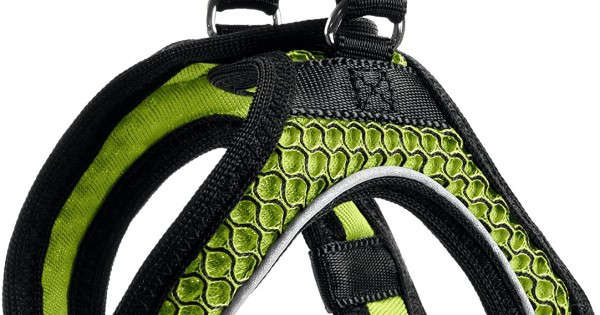 Dog Harness Hunter Hilo-Comfort Lime M (55-60 cm) main image 1
