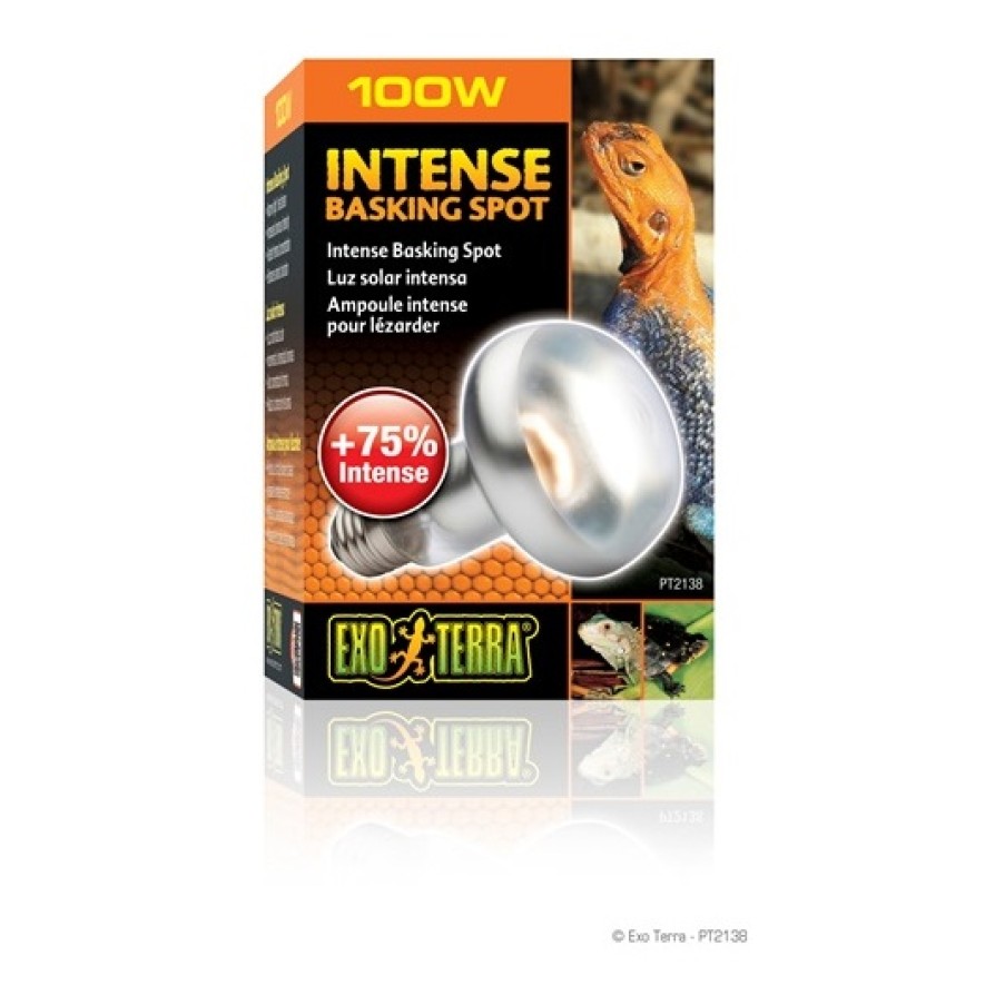 EXO TERRA ΛΑΜΠΑ ΗΜΕΡΑΣ ΕΡΠΕΤΩΝ 100W EXO TERRA