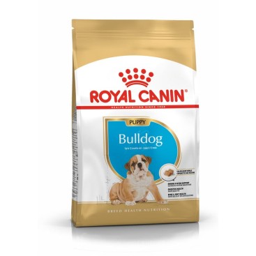 ROYAL CANIN BULLDOG JUNIOR