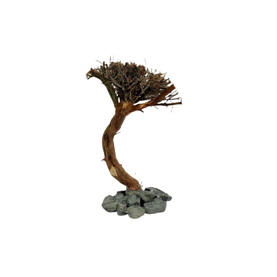 MARIMO TREE FIGURE L (20-25 CM) ΔΙΑΚΟΣΜΗΣΗ