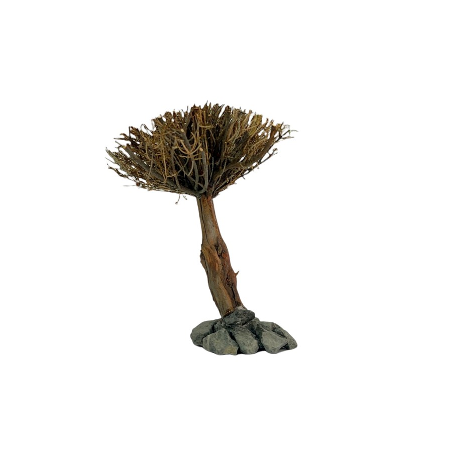MARIMO TREE FIGURE PINE M (14-19CM) ΔΙΑΚΟΣΜΗΣΗ