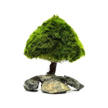 MARIMO TREE FIGURE M (14-19CM)