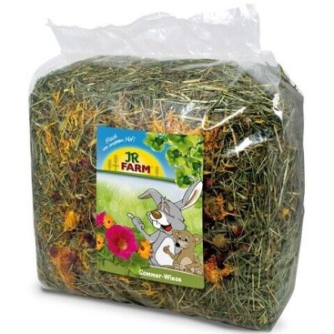 JR FARM ΣΑΝΟΣ ΚΑΛΟΚΑΙΡΙΟΥ ΓΙΑ ΤΡΩΚΤΙΚΑ & ΚΟΥΝΕΛΙΑ ΝΑΝΟΥΣ 500gr