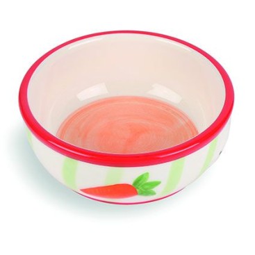CARROT STRIPE CERAMIC PET BOWL