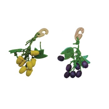 ΠΑΙΧΝΙΔΙ ΓΙΑ ΤΡΩΚΤΙΚΑ NIBBLER GRAPE