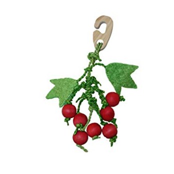 ΠΑΙΧΝΙΔΙ ΓΙΑ ΤΡΩΚΤΙΚΑ NIBBLER BERRY