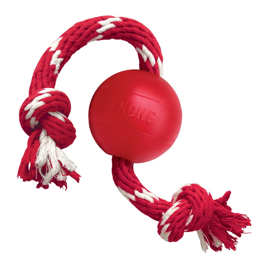 KONG BALL WITH ROPE KONG