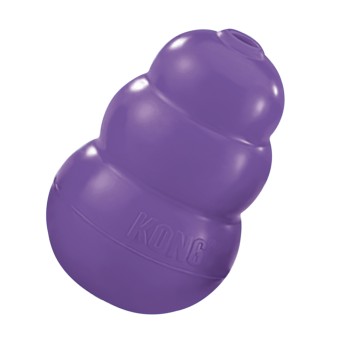 KONG SENIOR ΠΑΙΧΝΙΔΙ LARGE