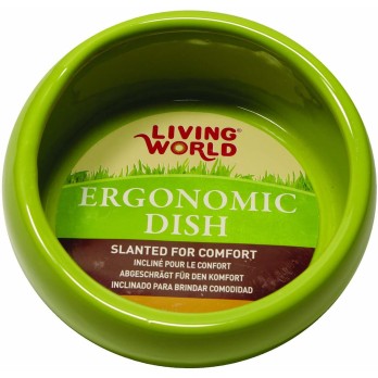 LW Ergonomic Dish green small LW Ergonomic Dish green small