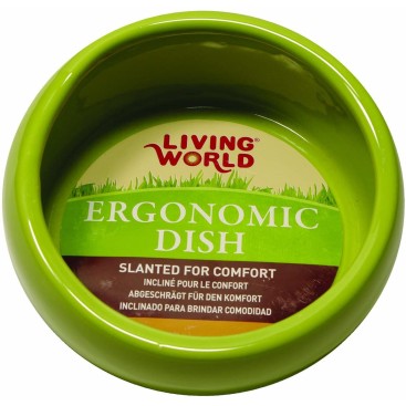 LW Ergonomic Dish green small