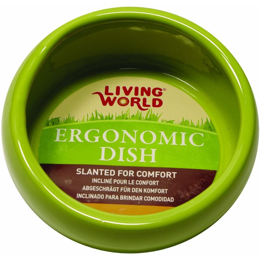 LW Ergonomic Dish green small 