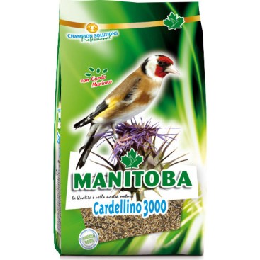 MANITOBA CARDELLINO 3000 800GR