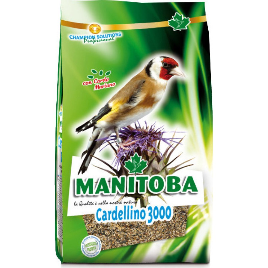 MANITOBA CARDELLINO 3000 800GR MANITOBA