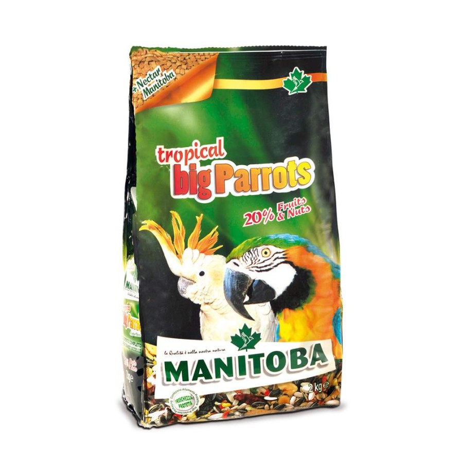 MANITOBA BIG PARROTS MANITOBA