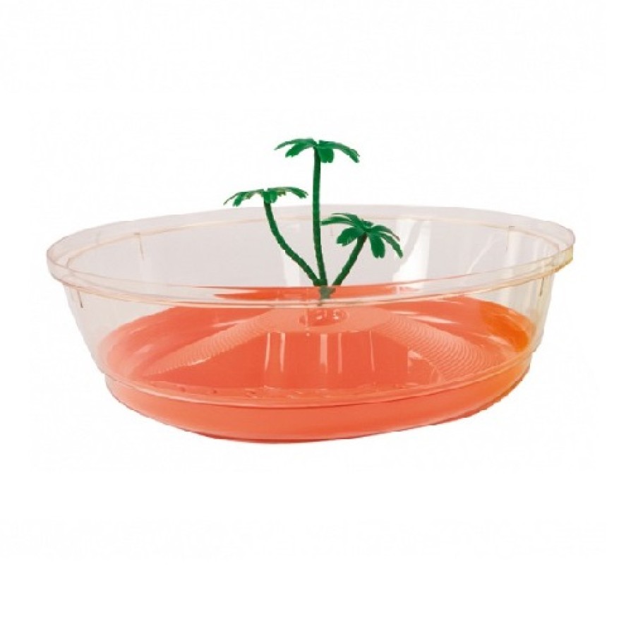 TARTARUGHIERA NISIDA MAXI BOX 16PZ (MT) ΧΕΛΩΝΙΕΡΕΣ TARTARUGHIERA NISIDA MAXI BOX 16PZ (MT) ΧΕΛΩΝΙΕΡΕΣ
